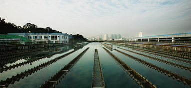兩會(huì)聲音：城市“新洼地”之痛 如何補(bǔ)齊城市地下管網(wǎng)短板？