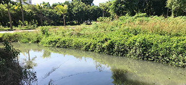 沿用城市思維？農村黑臭水體治理“行不通”！
